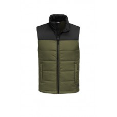 North Face Men's Everyday Insulated Vest LWNF0A529A